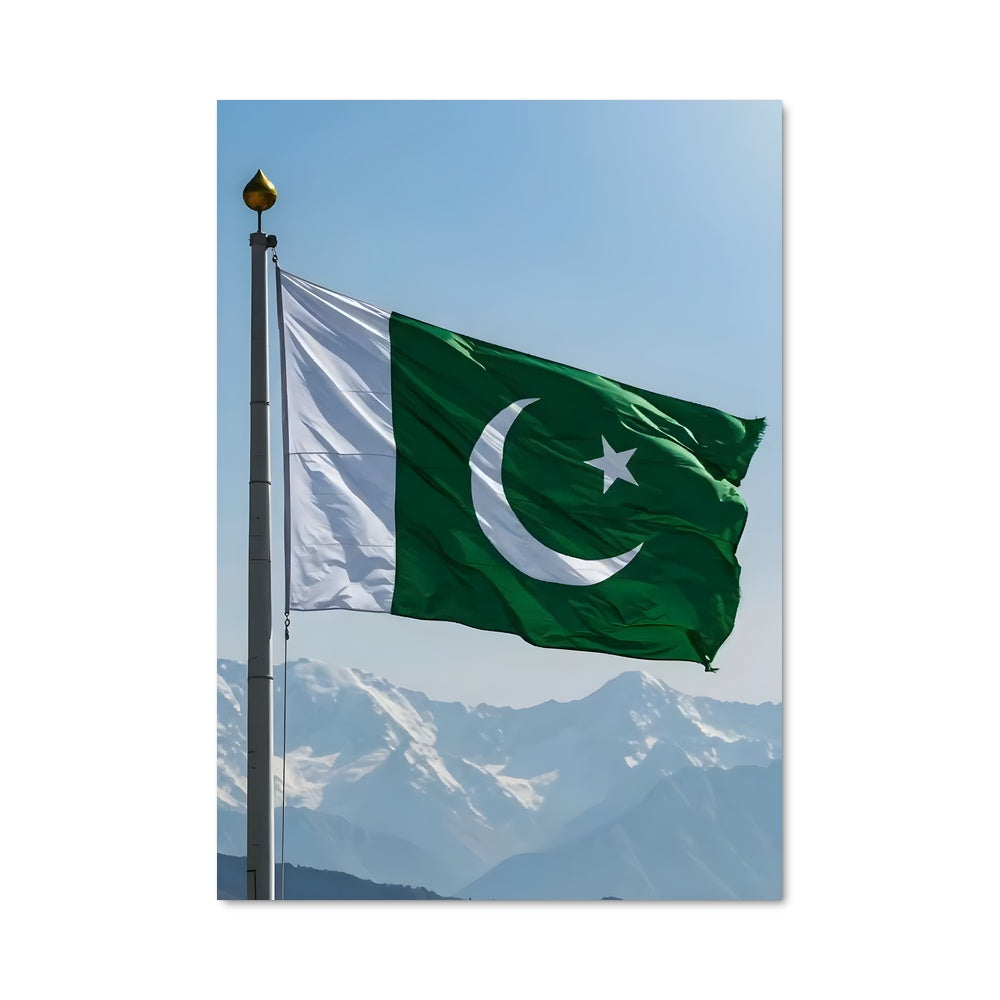 Poster Fierté du Pakistan
