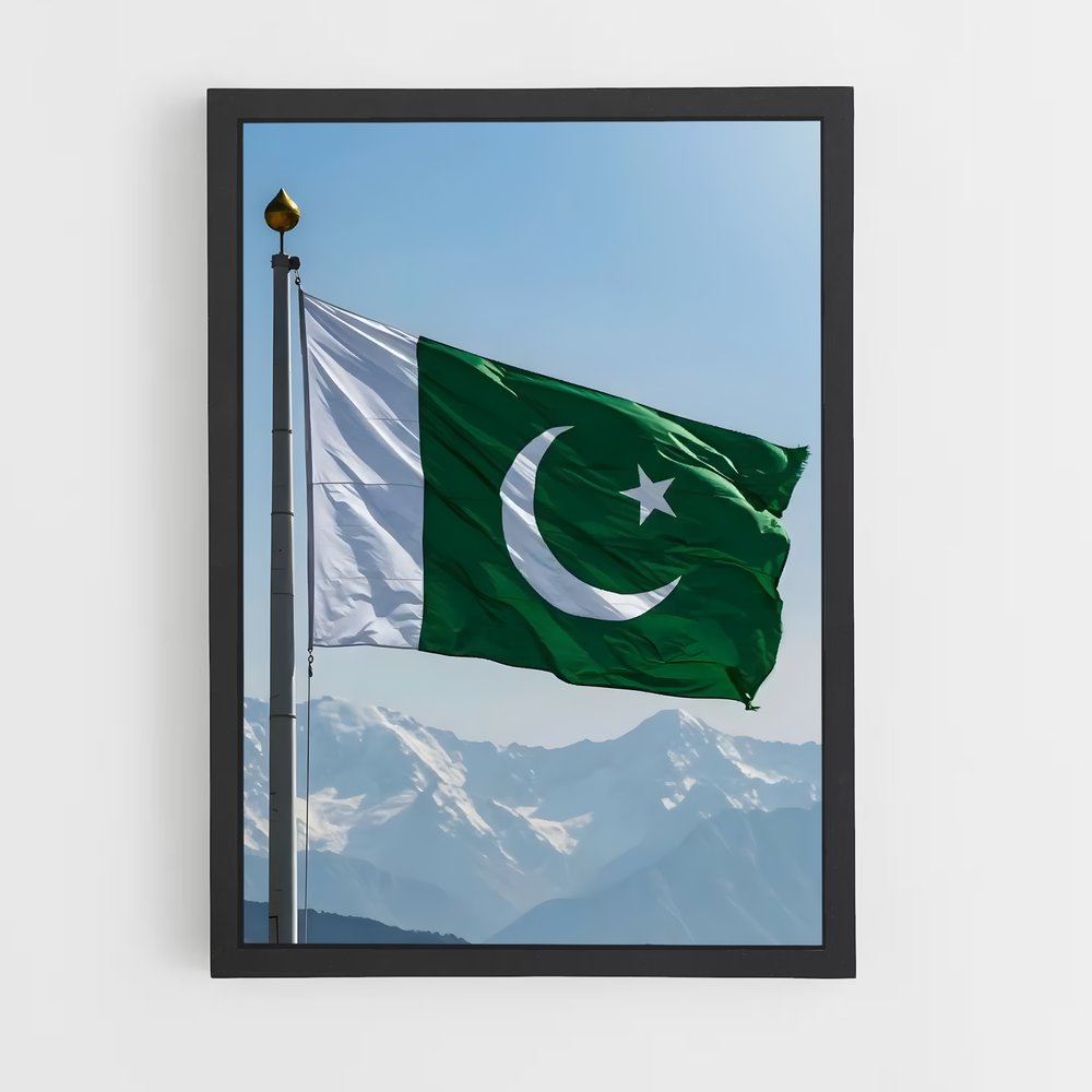 ap-pakistan flag-1 cadre Noir