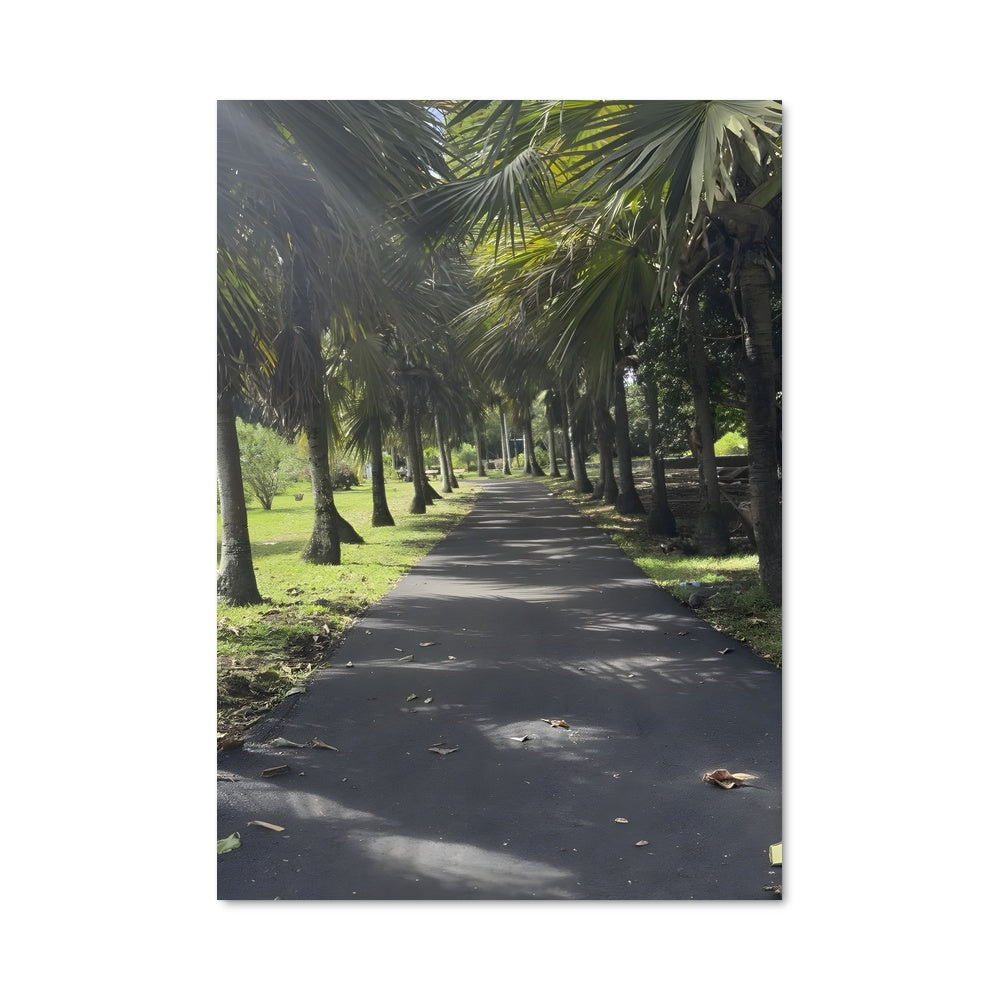 Poster Allée des Palmiers