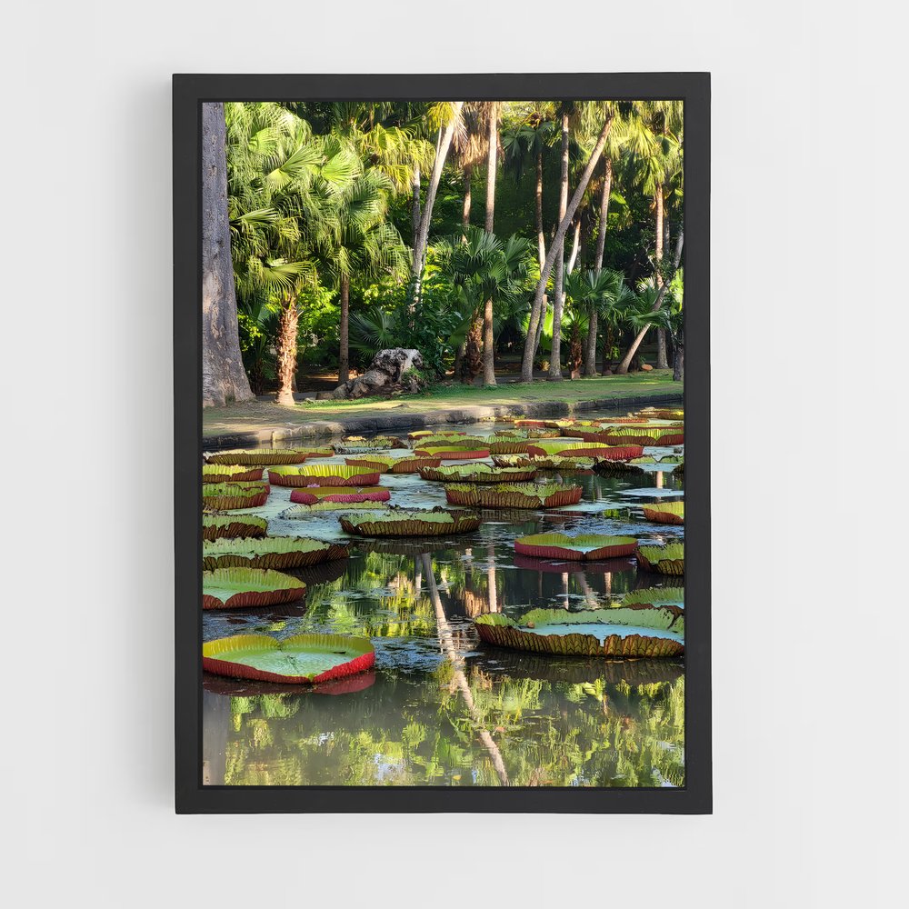ap-pamplemousses botanical garden-8 cadre Noir