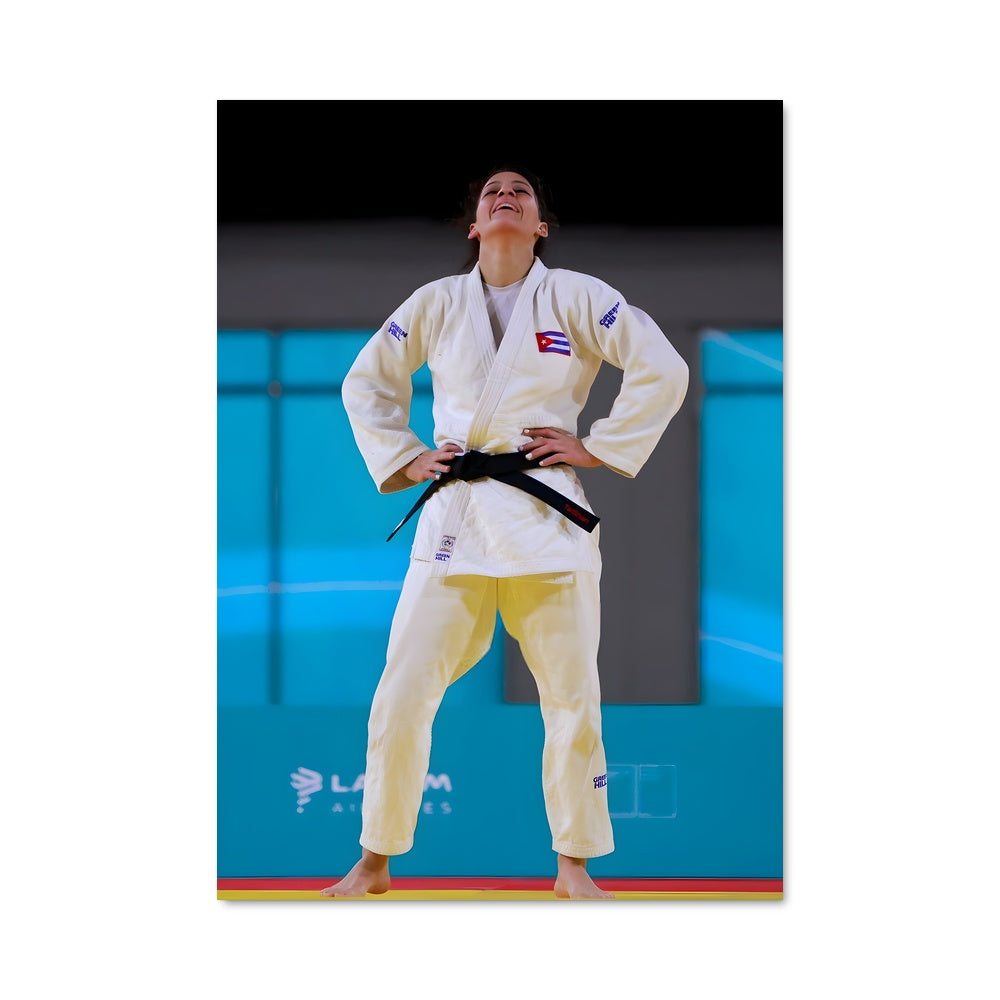 Poster Maîtrise du Judo