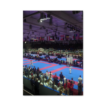 Poster Pan american karate championships 61824