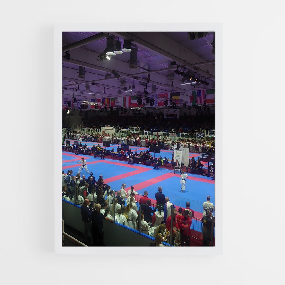 ap-pan american karate championships-3 cadre Blanc