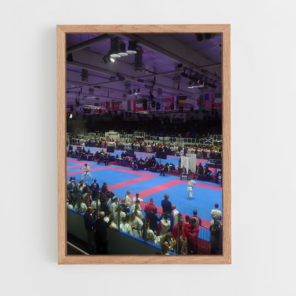 ap-pan american karate championships-3 cadre Bois clair