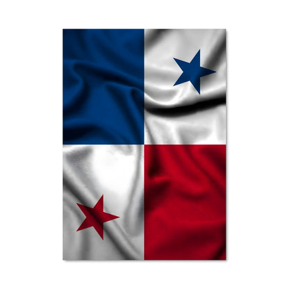 Poster Texas Vibes
