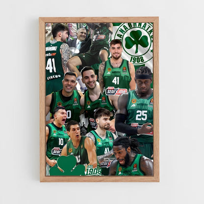 ap-panathinaikos basketball-7 cadre Bois clair