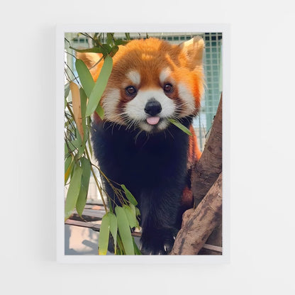 ap-panda-4 cadre Blanc