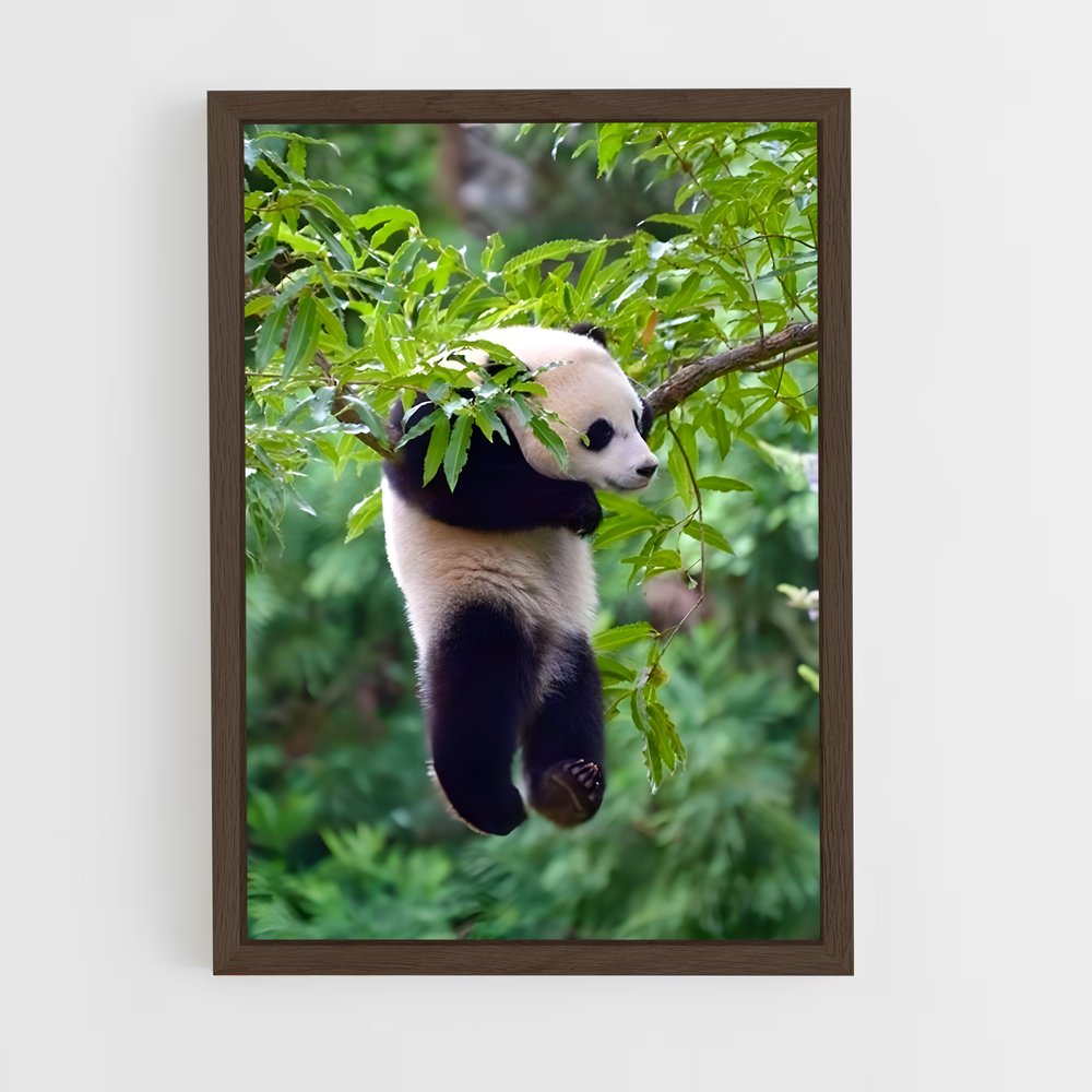 ap-panda-6 cadre Bois foncé