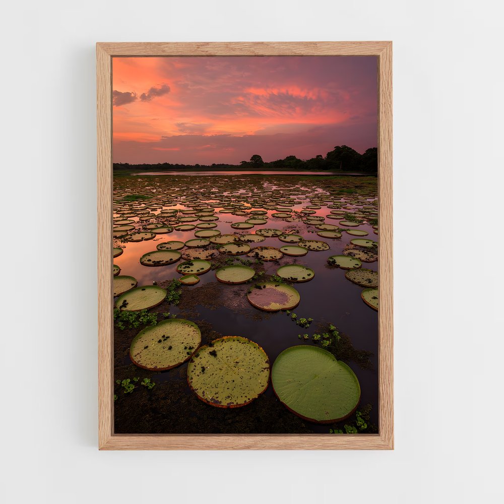 ap-pantanal-2 cadre Bois clair