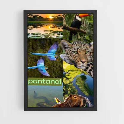 ap-pantanal-5 cadre Noir