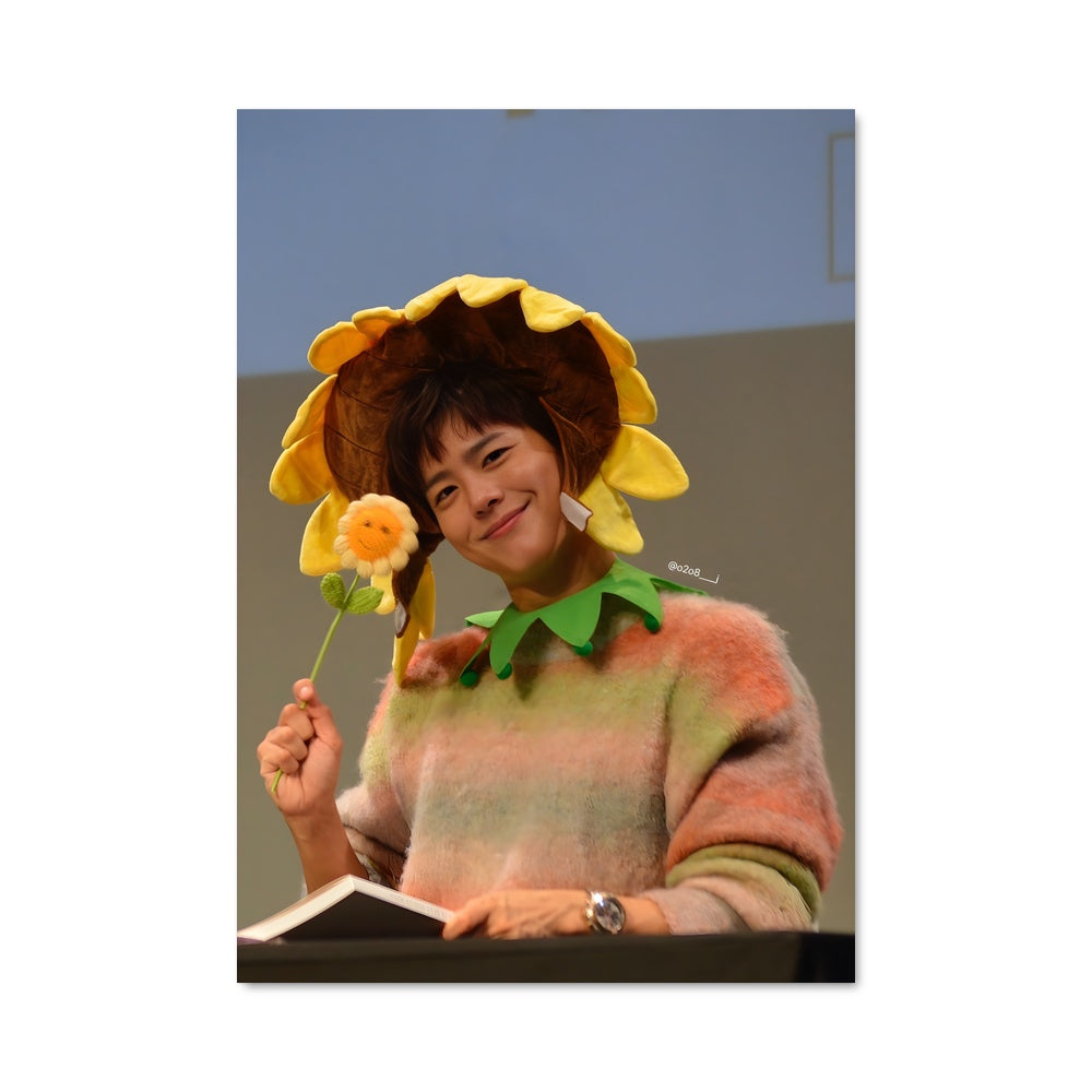 Poster Park Bo-gum Étoilé