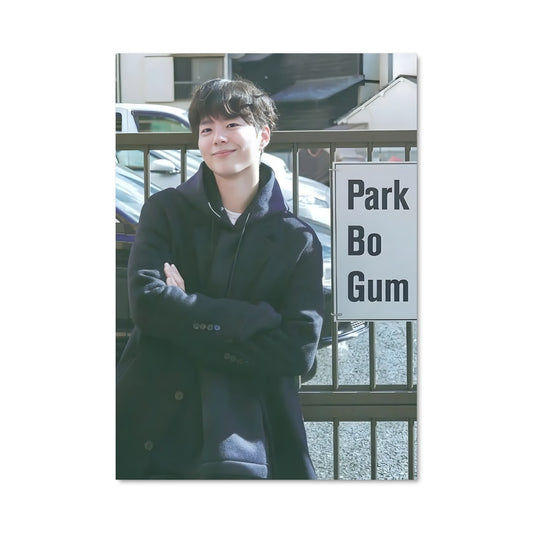 Poster Charme de Park Bo-gum