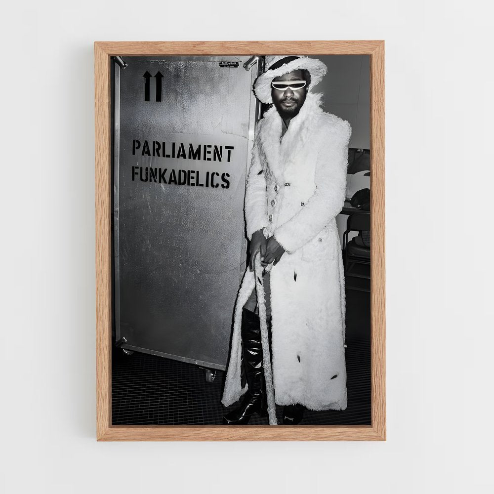 ap-parliament funkadelic-1 cadre Bois clair