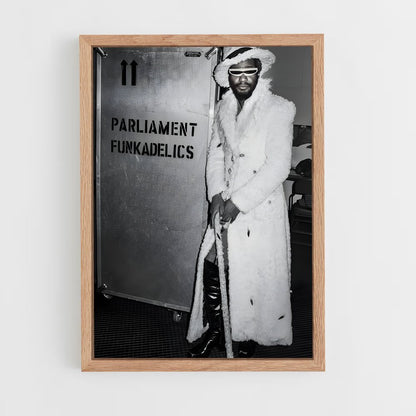 ap-parliament funkadelic-1 cadre Bois clair