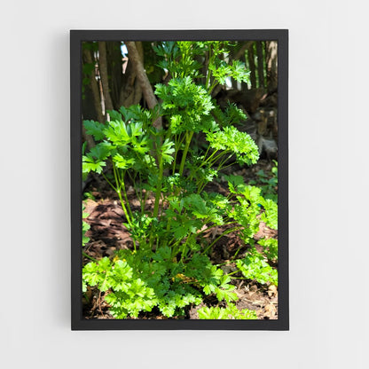 ap-parsley-3 cadre Noir