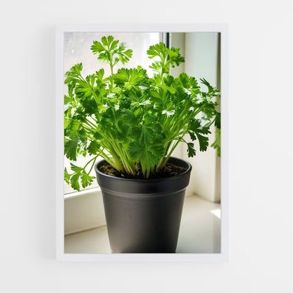 ap-parsley-5 cadre Blanc