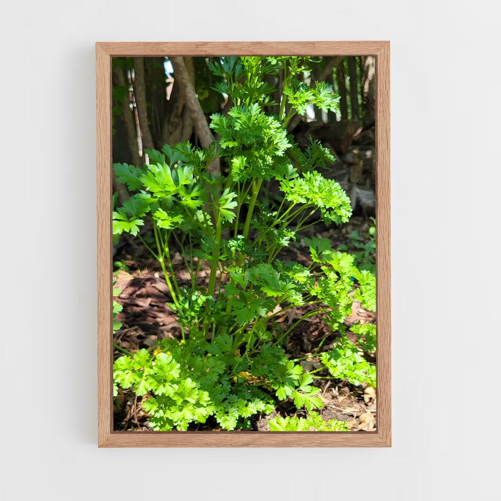 ap-parsley-6 cadre Bois clair
