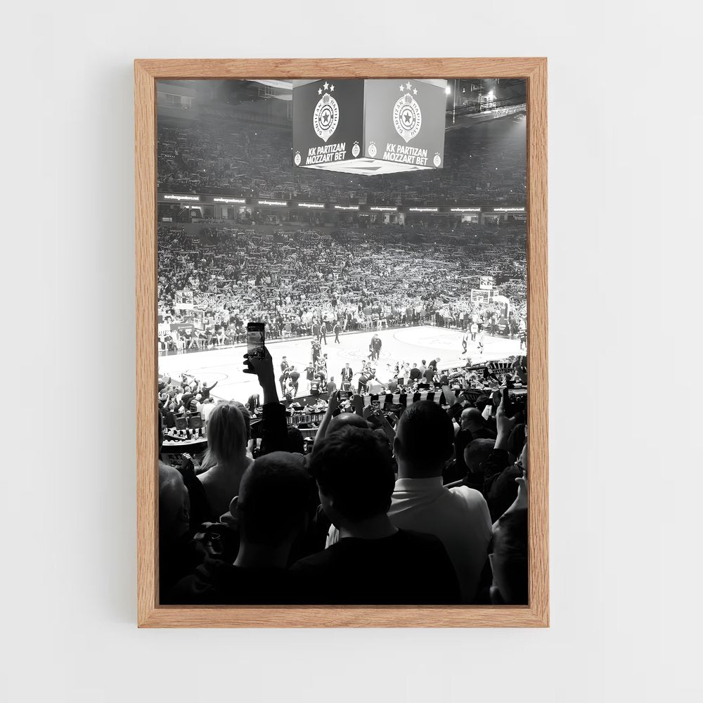 ap-partizan belgrade basketball-4 cadre Bois clair