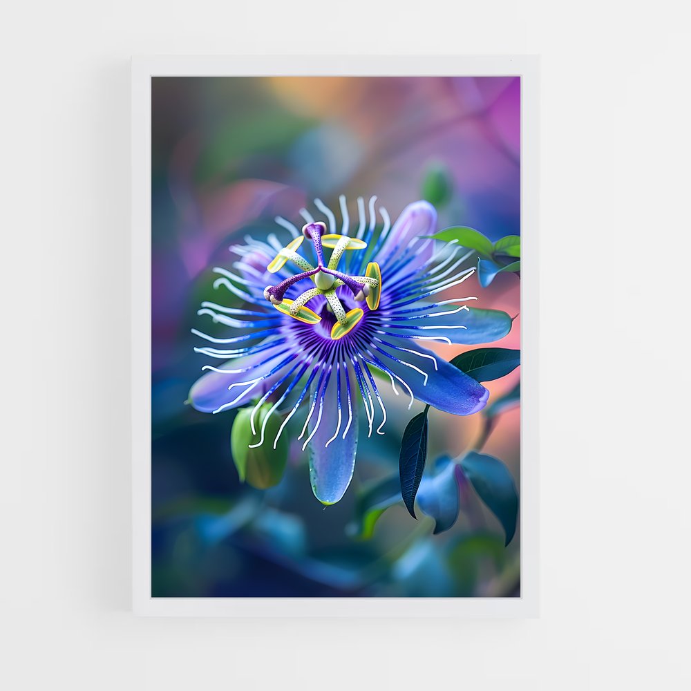 ap-passion flower-4 cadre Blanc