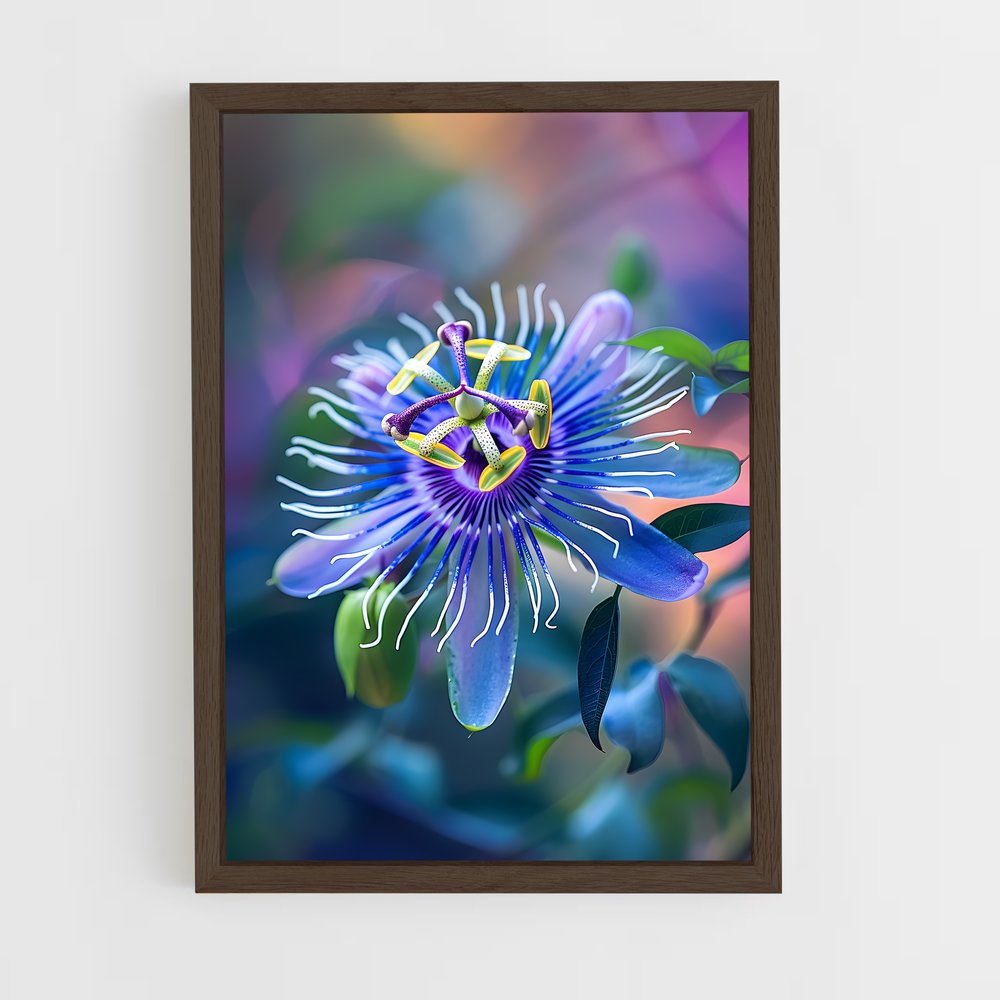ap-passion flower-4 cadre Bois foncé
