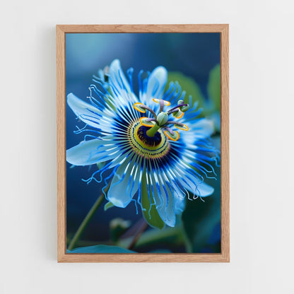 ap-passion flower-6 cadre Bois clair