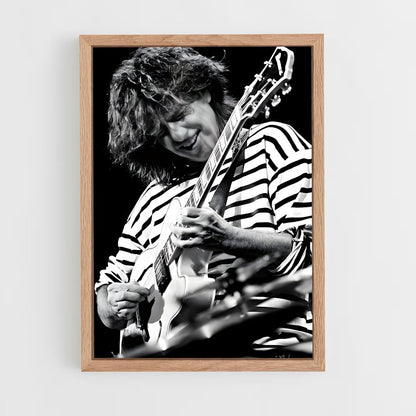 ap-pat metheny-6 cadre Bois clair