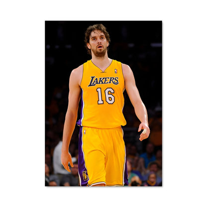 Poster Pau Power