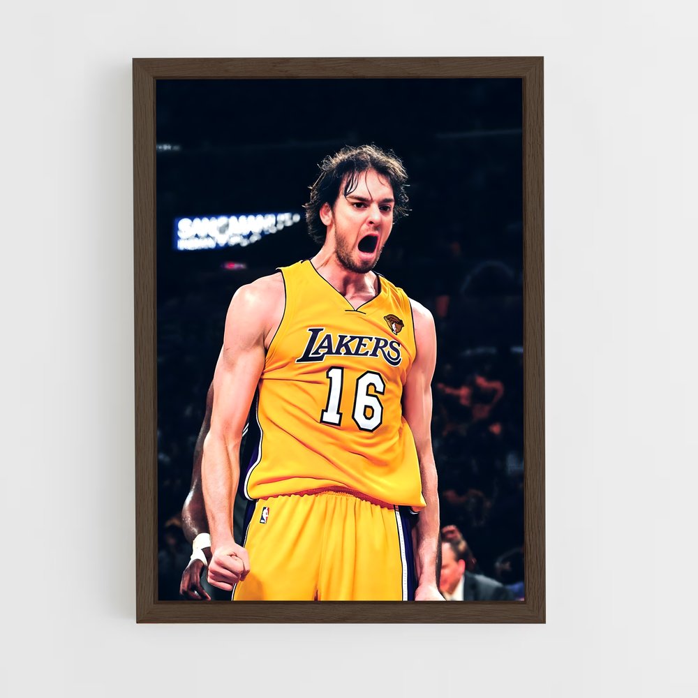 ap-pau gasol-1 cadre Bois foncé