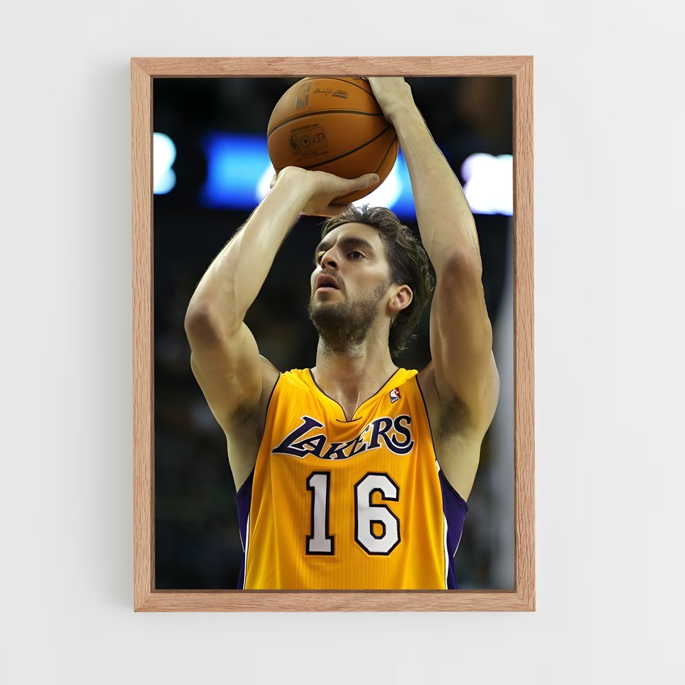 ap-pau gasol-7 cadre Bois clair