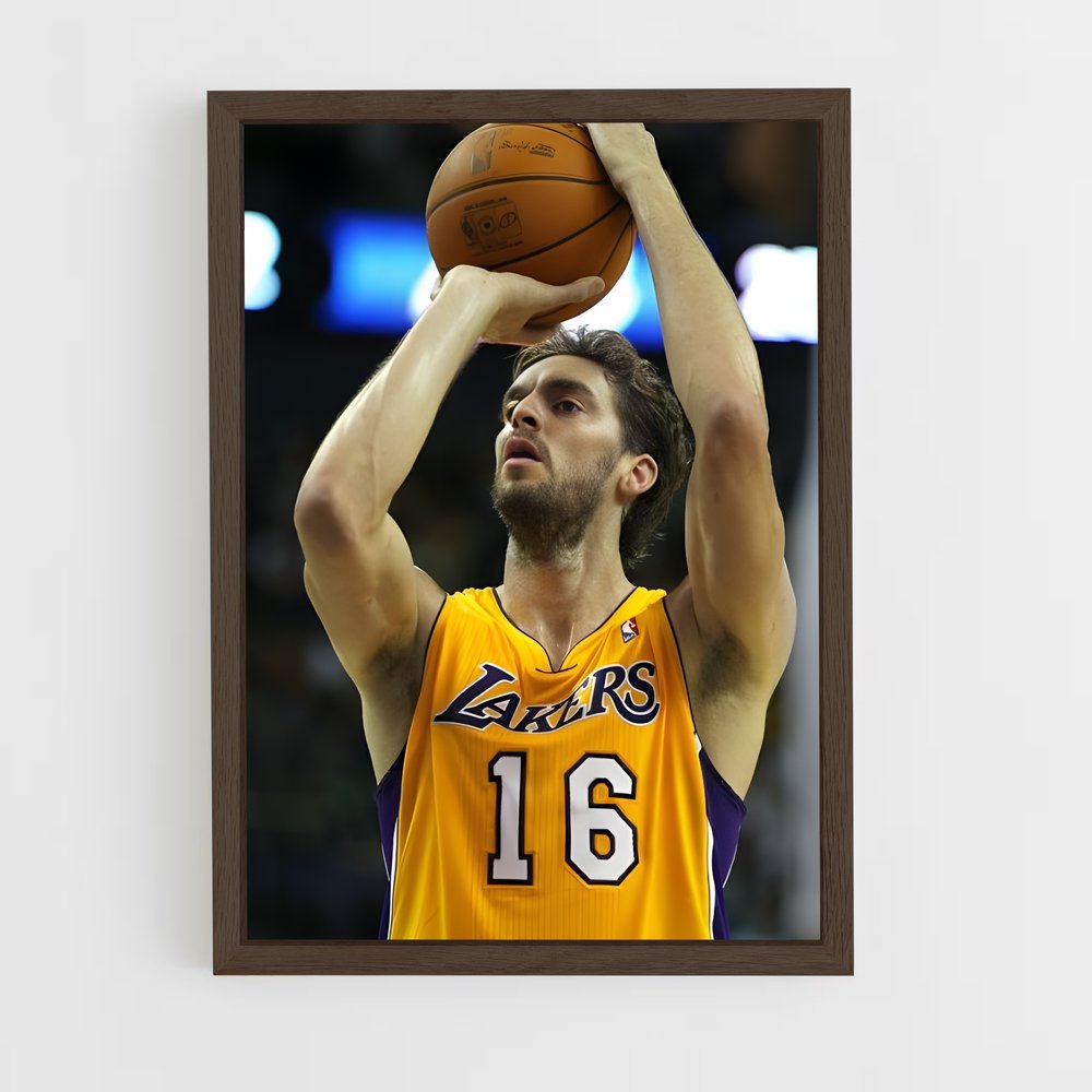 ap-pau gasol-7 cadre Bois foncé