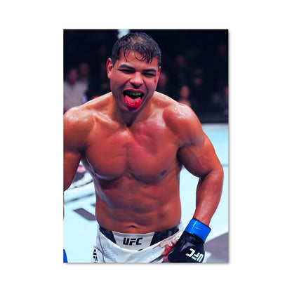 Poster Boxe Fantasque