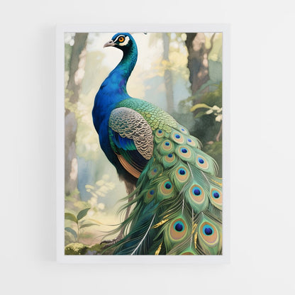 ap-peacock-2 cadre Blanc