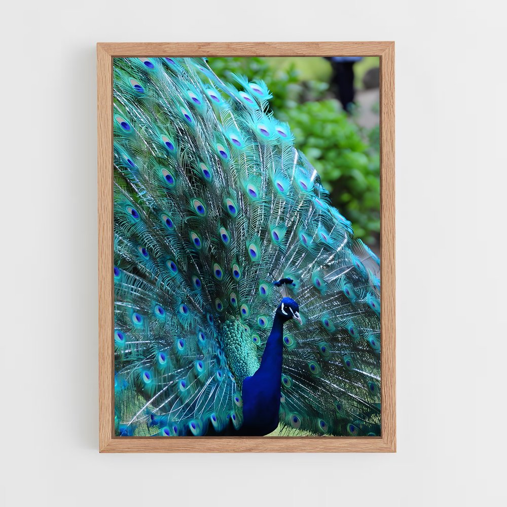 ap-peacock-3 cadre Bois clair