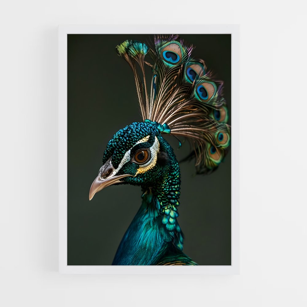 ap-peacock-4 cadre Blanc