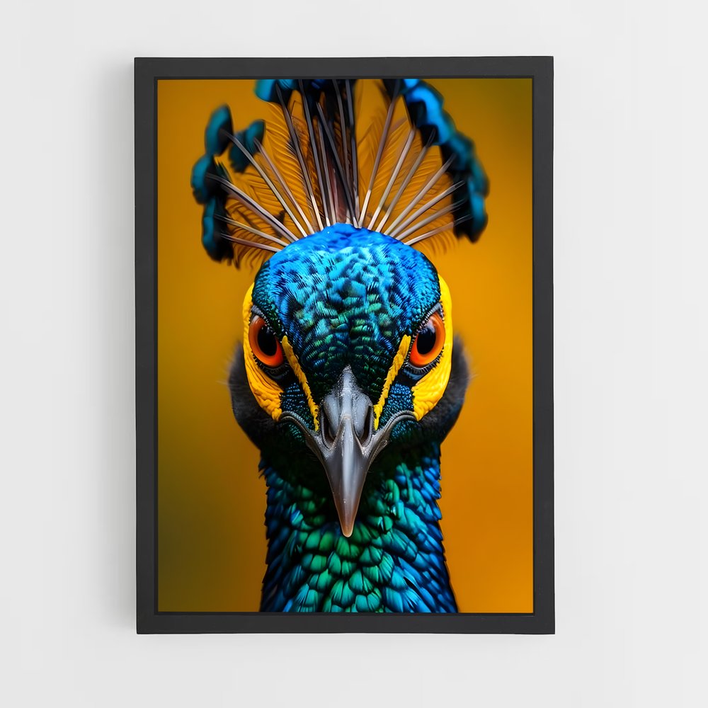 ap-peacock-8 cadre Noir