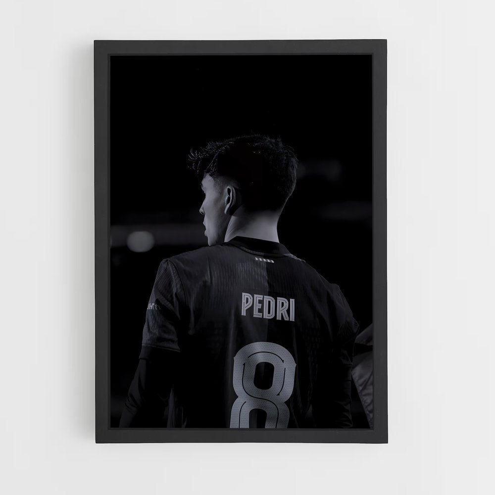 ap-pedri-11 cadre Noir
