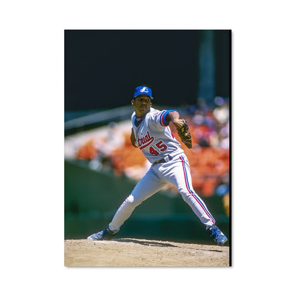 Poster Pedro martinez 58445