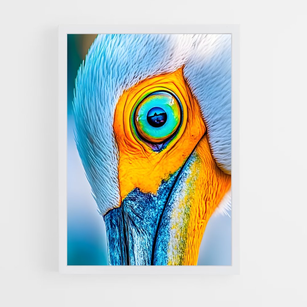 ap-pelican-1 cadre Blanc