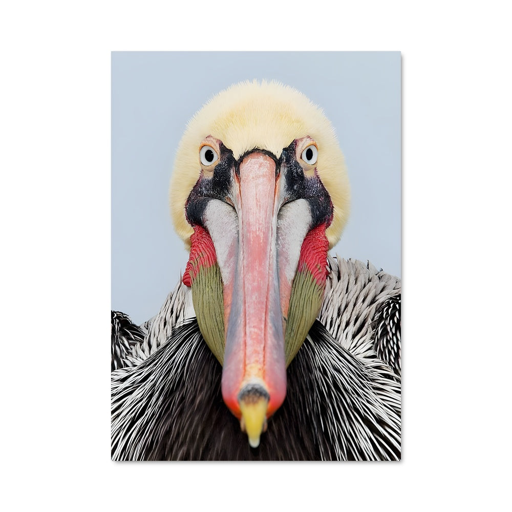 Poster Oiseaux du Vent