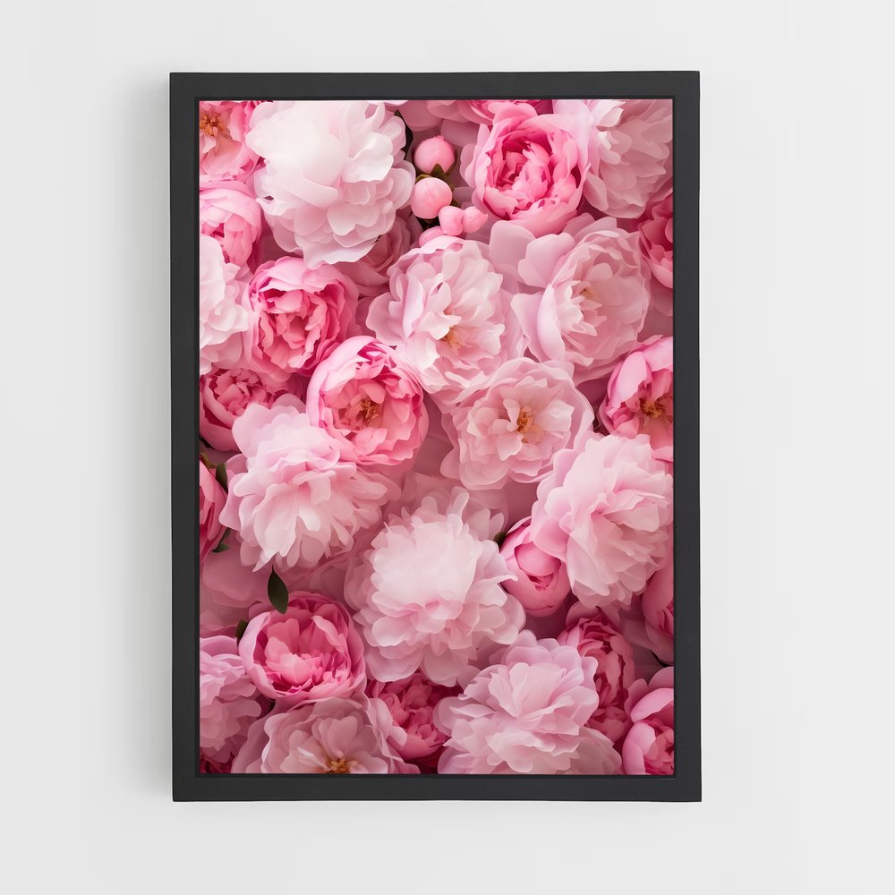 ap-peony-2 cadre Noir