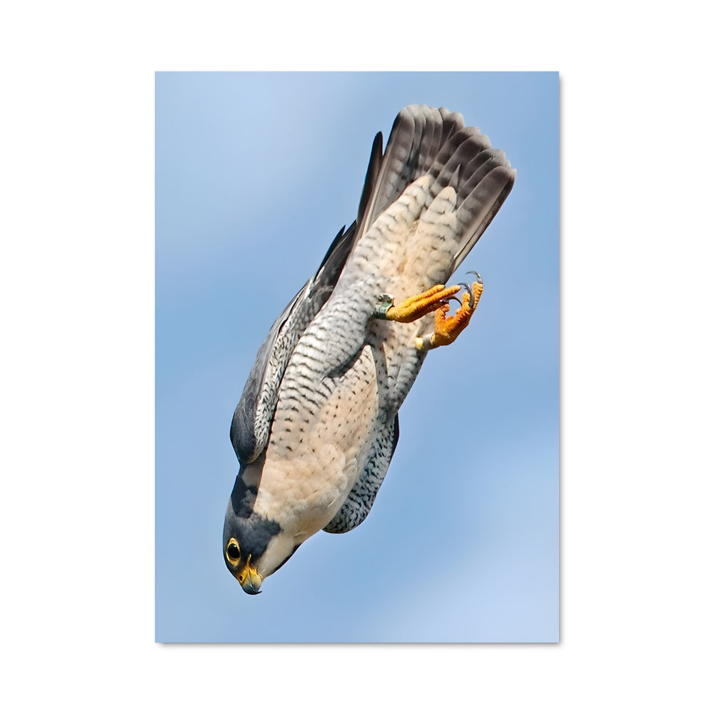 Poster Prise Aérienne