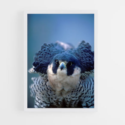 ap-peregrine falcon-3 cadre Blanc