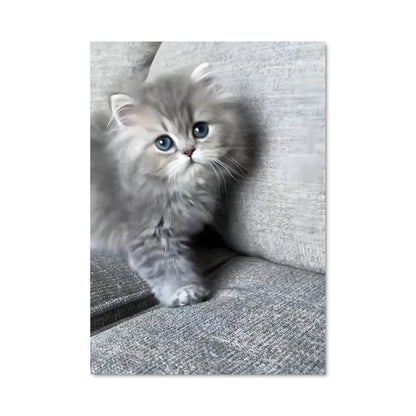 Poster Minou Persan
