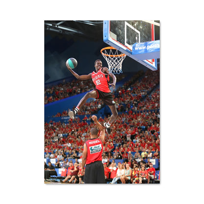 Poster Saut Sauvage
