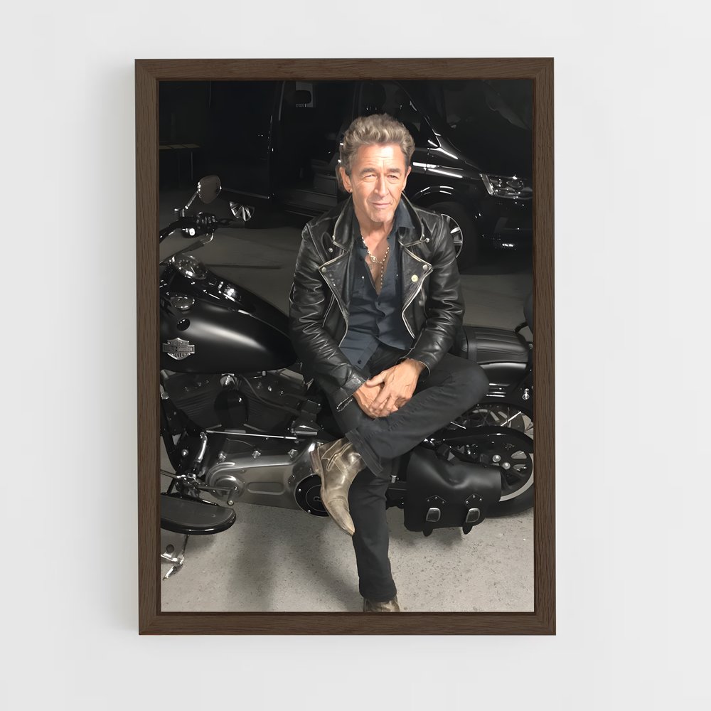 ap-peter maffay-4 cadre Bois foncé