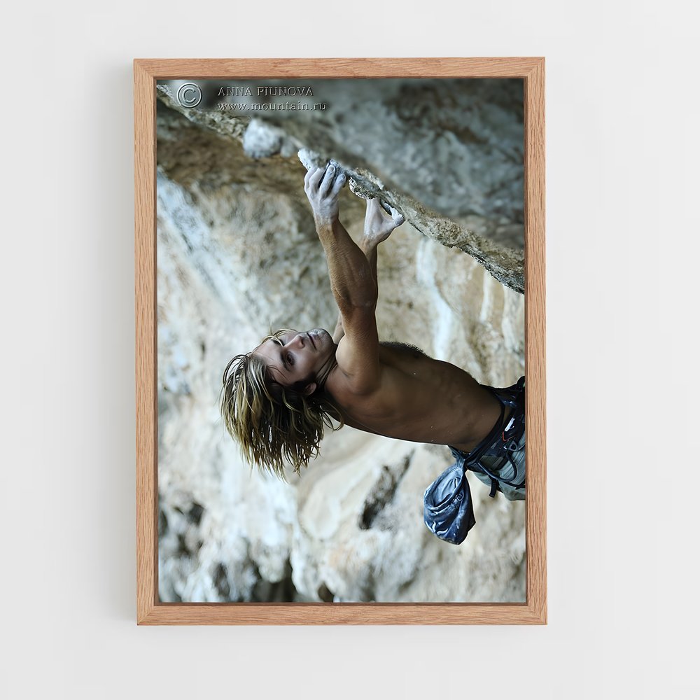 ap-petzl roc trip-2 cadre Bois clair