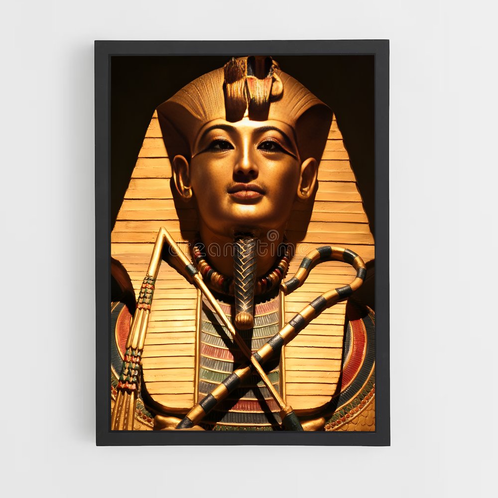 ap-pharaoh-3 cadre Noir