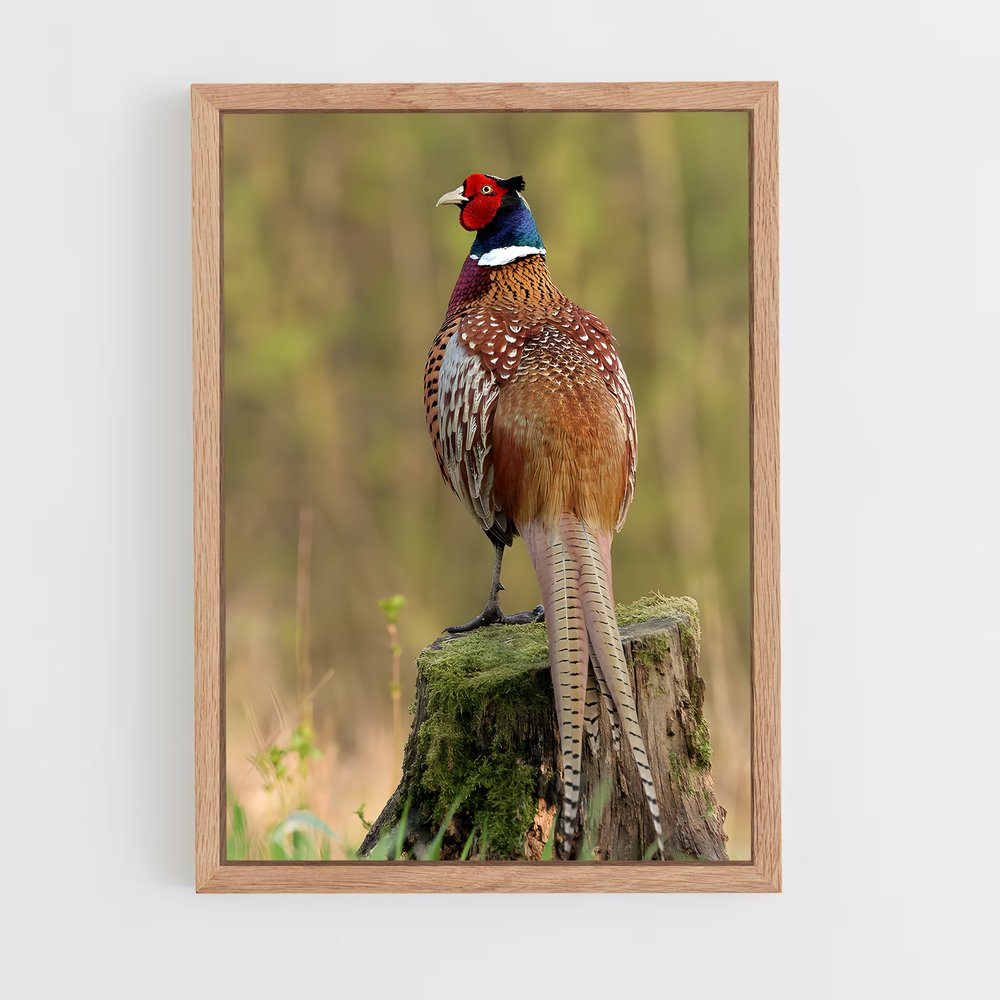 ap-pheasant-1 cadre Bois clair