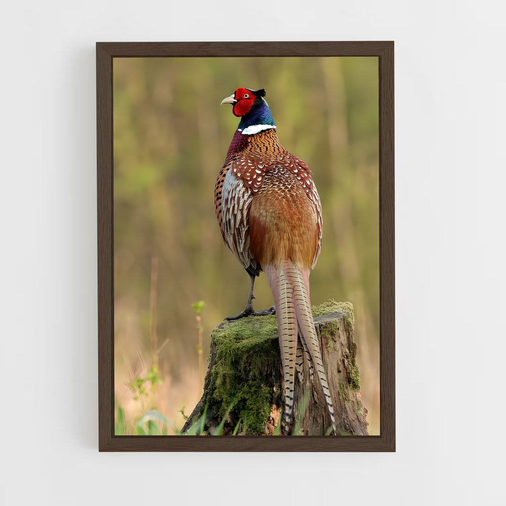 ap-pheasant-1 cadre Bois foncé