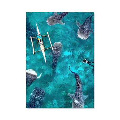 Poster Danse avec les Requins